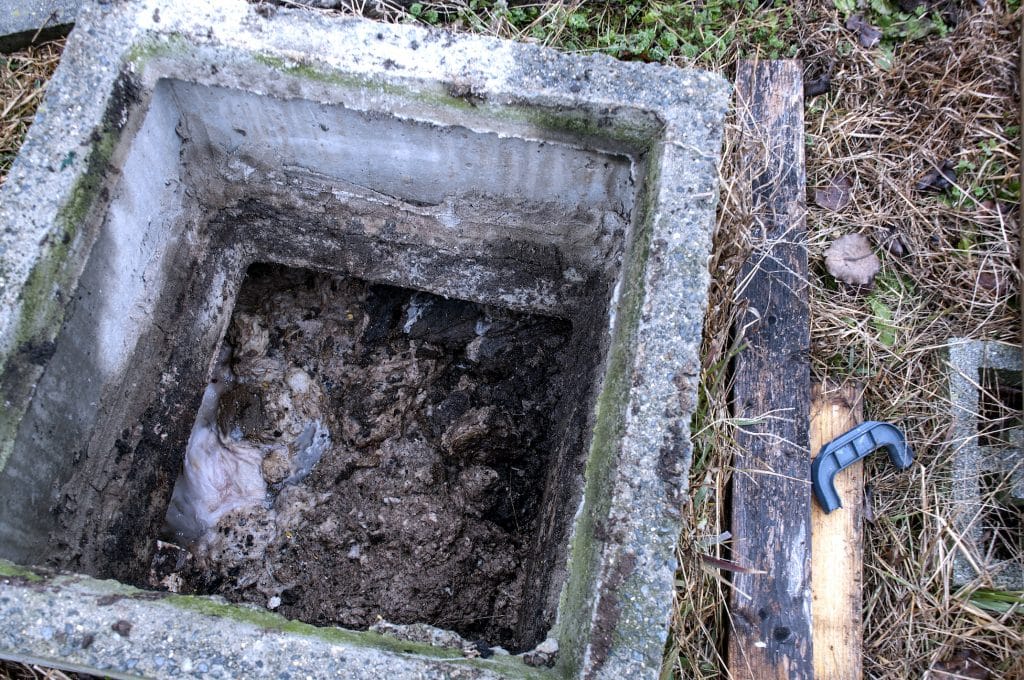 Can Septic Tank Fumes Make Me Sick? • Martin Septic Service