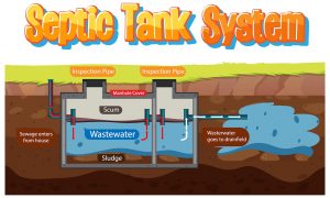 Septic System Design and Consulting Diagram
